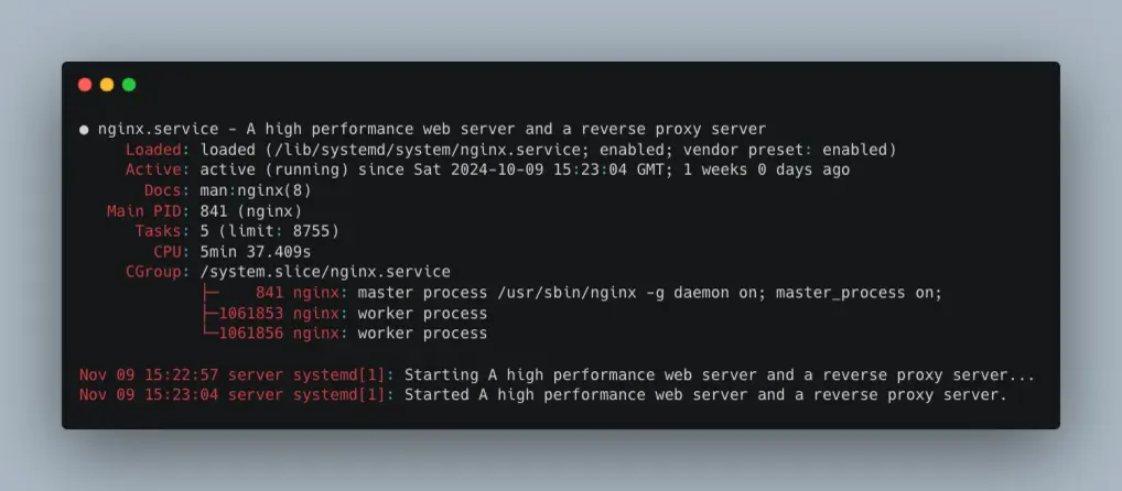 Output when nginx is running